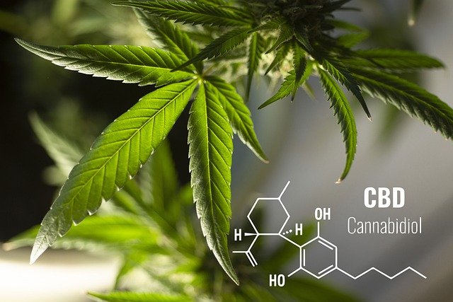 ICC International Cannabis Corp. Competing in Explosive Worldwide Cannabis Market with Unique Global Strategy