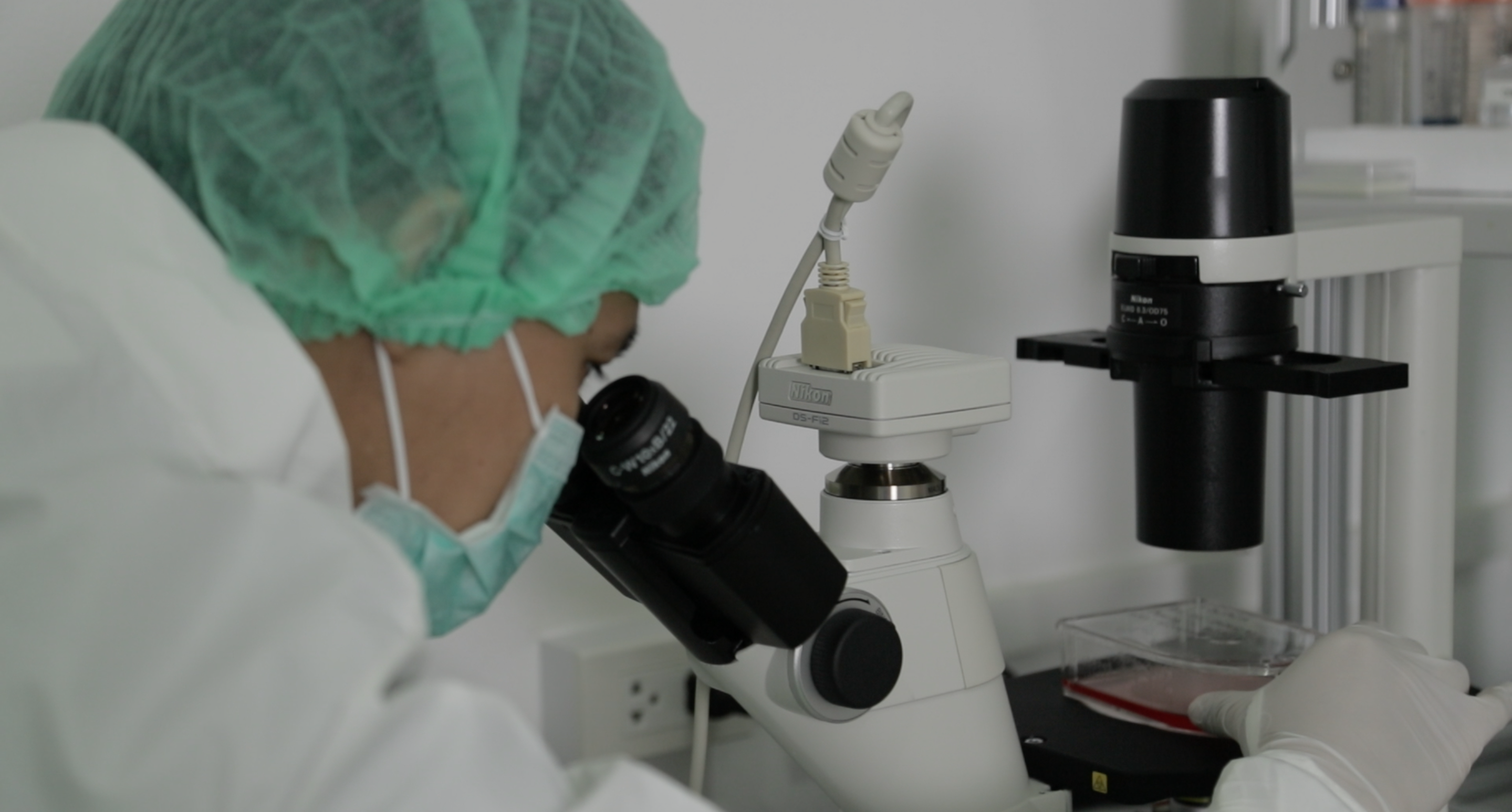 PharmaCyte Biotech Closer to Submitting IND with Successful Completion of Clinical Trial Product