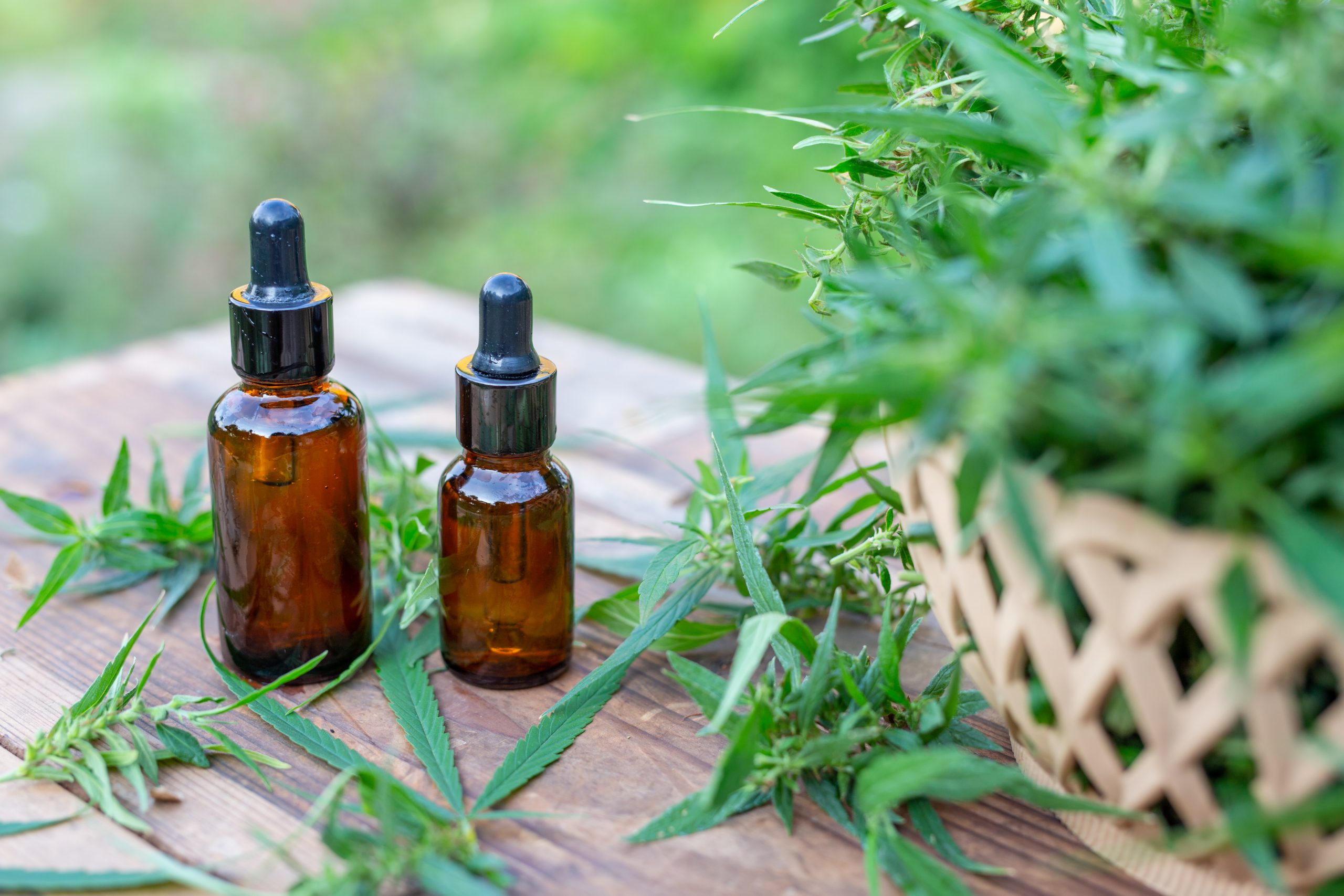 World High Life Continues Massive Sales Growth in UK CBD Market with Eye to Future Expansion