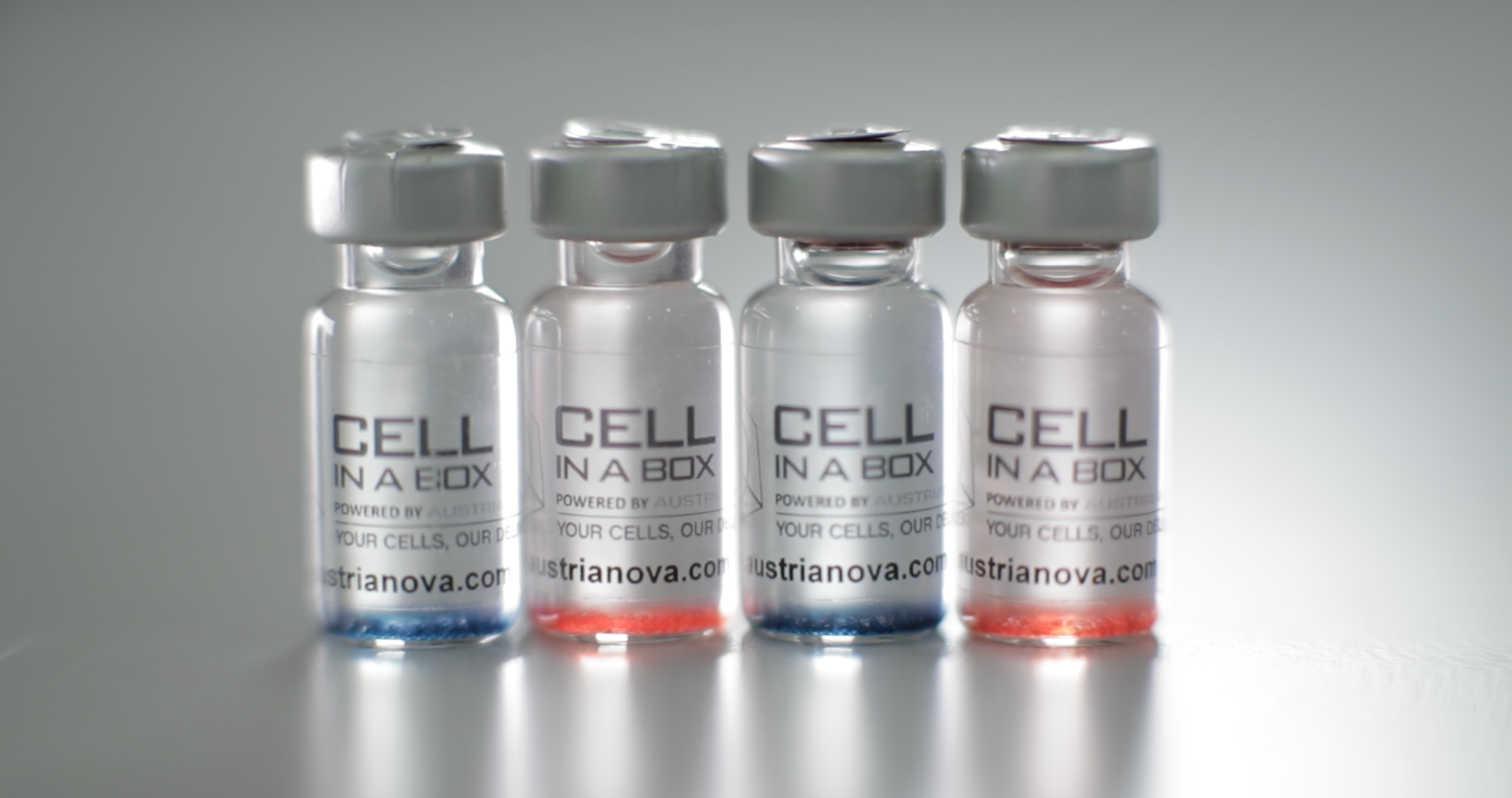 PharmaCyte Biotech’s Pancreatic Cancer Therapy Passes Critical FDA-Required Tests as Countdown to IND Submission Begins