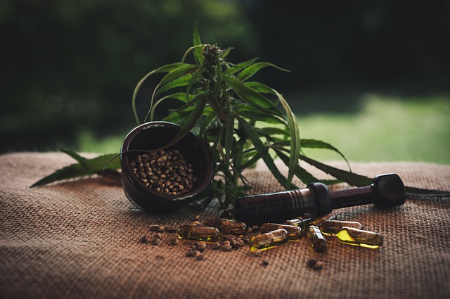 Love Hemp Highlighted As ‘Emerging CBD Powerhouse’ in Research from Investment Bank Hannam & Partners
