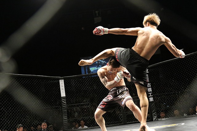Love Hemp to Gain Worldwide Brand Awareness as UFC’s Official Global CBD Partner