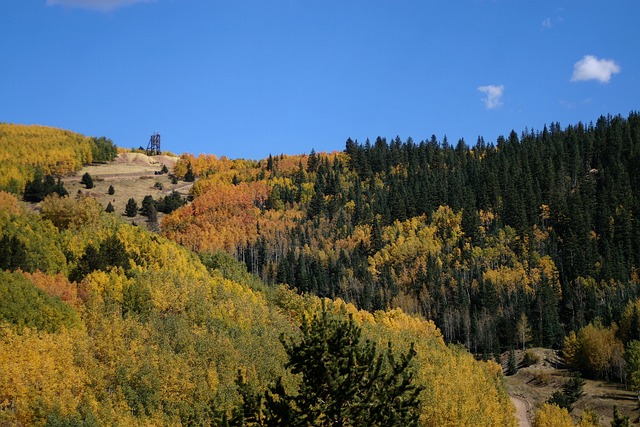 K9 Gold Drilling Results Indicate Consistent Gold Values and Significant Widths of Continuous Gold Mineralization